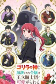 Gorilla no Kami kara Kago sareta Reijou wa Ouritsu Kishidan de Kawaigarareru ซับไทย ยังไม่จบ