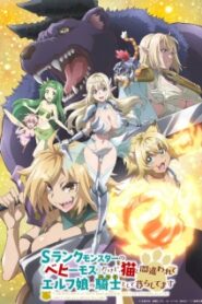 S Rank Monster no Behemoth dakedo กระผมเป็น (เบฮีมอธ) มอนสเตอร์ S แรงค์ ซับไทย