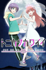 Tonikaku Kawaii 2 จะยังไงภรรยาผมก็น่ารัก (ภาค2)