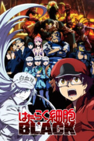 Hataraku Saibou Black เซลล์ขยันพันธุ์เดือด แบล็ค ซับ ไทย