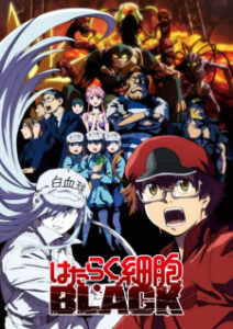 Hataraku Saibou Black เซลล์ขยันพันธุ์เดือด แบล็ค ซับ ไทย