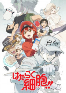 Hataraku Saibou!! 2 เซลล์ขยันพันธุ์เดือด (ภาค 2) ซับไทย
