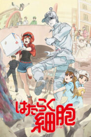 Hataraku Saibou เซลล์ขยันพันธุ์เดือด (ภาค1) ซับไทย