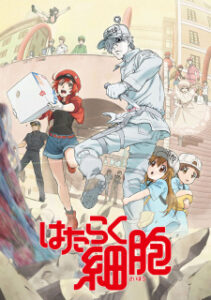 Hataraku Saibou เซลล์ขยันพันธุ์เดือด (ภาค1) ซับไทย