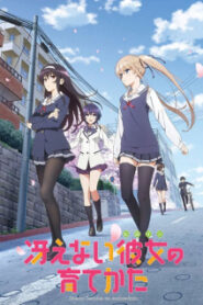 Saenai Heroine no Sodatekata (ภาค1) วิธีปั้นสาวบ้านให้มาเป็นนางเอกของผม ซับไทย