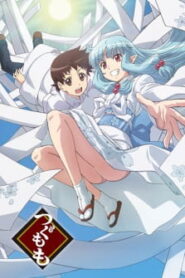 Tsugumomo สึกุโมโมะ ภูติสาวแสบดุ (ภาค1)