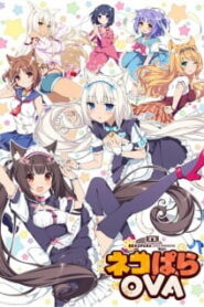 Nekopara OVA ยัยเหมียววุ่ยวาย ซับ ไทย