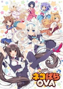 Nekopara OVA ยัยเหมียววุ่ยวาย ซับ ไทย