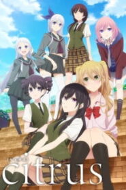 Citrus ซับไทย