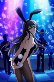 Seishun Buta Yarou wa Bunny Girl Senpai เรื่องฝันปั่นป่วยของผมกับรุ่นพี่บันนี่เกิร์ล ซับไทย